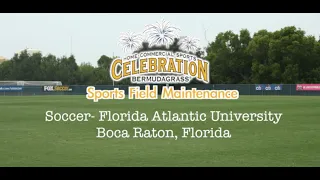 Florida Atlantic University Soccer - Celebration Bermudagrass Maintenance