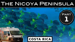 Scuba Diving in the Islas Catalinas | Vanlife Costa Rica