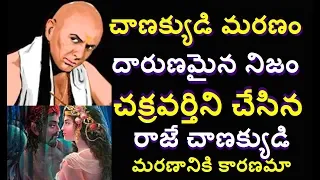 How Chanakya Died ? Real Mysteries in Telugu Behind Chanakya death|Chanakya neeeti Telugu info media