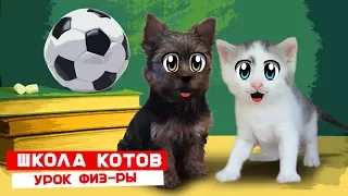 ЩЕНОК ПУПСЯ в ШКОЛЕ КОТОВ! КОТ МАЛЫШ и Кошечка МУРКА на УРОКЕ ФИЗКУЛЬТУРЫ!