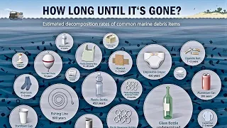 Interesting  - How Long Trash Takes To Decompose