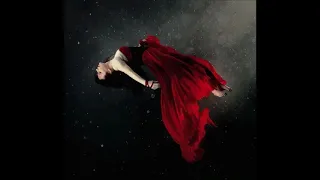 Evanescence- Never Go Back Synthesis (slow version)