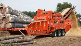 Extreme Dangerous Monster In The Woodworking Industry, Modern Wood Chipper Makes Whole World Admire