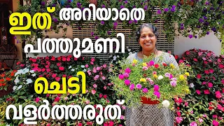 പത്തുമണി ചെടികൊണ്ട് ഇങ്ങനെയും മാജിക്കോ /portulaca plants magic