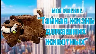 Мое Мнение о "Тайная Жизнь Домашних Животных"