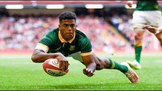 Highlights - Springboks v All Blacks. 25th August 2023