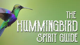 Hummingbird Spirit Guide - Ask the Spirit Guides Oracle Totem Animal - Power Animal Magical Crafting