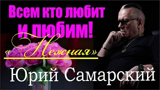 "НЕЖНАЯ" ЮРИЙ САМАРСКИЙ "НЕЖНАЯ" ХИТЯРА