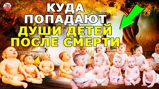 СУДЬБА МАЛЕНЬКИХ ДЕТЕЙ ПОСЛЕ СМЕРТИ, КУДА ПОПАДАЮТ ДУШИ МЛАДЕНЦЕВ