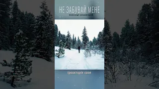 Не забувай мене - Олександр Закшевський #олександрзакшевський #незабуваймене #українськамузика