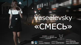 Vaseelevsky - СМЕСЬ (2019)