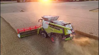 XXL Drescher Claas Lexion 770 Getreideernte / Grain Harvest 2020 / Weizen dreschen / DJI Mavic Mini