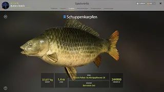 Russian Fishing 4 - Amber Lake Active Trophy Spot + Super Trophy Common Carp