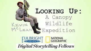 Looking Up: A Canopy Wildlife Expedition