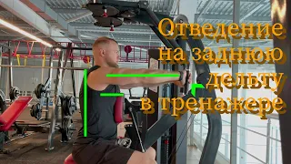 Отведение на заднюю дельту в тренажере. Техника выполнения