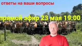 гость эфира - директор компании АСКОР, а так же конкурс и ответы на вопросы подписчиков