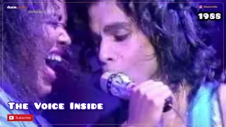 Prince Unreleased 073 | The Voice Inside [demo] (1988) | from Rave Unto The Joy Fantastic album