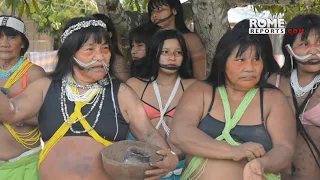 Indigenous people from Brazil: "We don't harm anyone, why is there so much hate?"