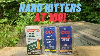 Long Range Test of 22LR's Hardest Hitting Rounds!