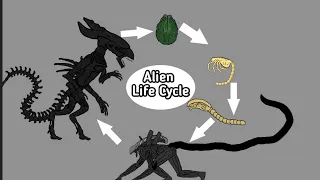 Alien(Xenomorph) Life Cycle | AUTO RPG Anything