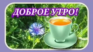 С Добрым утром,  СУББОТЫ! Отличных желаю выходных!