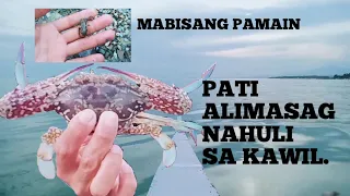 MABISANG PAMAIN part 2. | HULI PATI ALIMASAG. #palawanfishing #traditionalfishing.