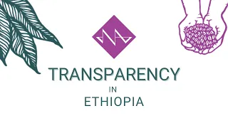 Transparency in Ethiopia 🔎 Transparency in the specialty coffee supply chain