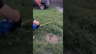 Using A Hedge Trimmer To Cut Grass