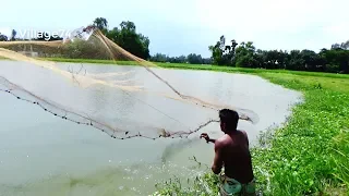 Best cast net fishing।Catching big fish with cast net। Net fishing (part-213)