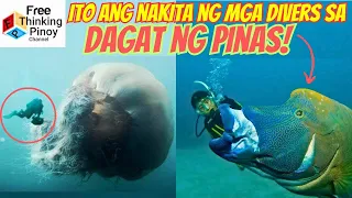 Kakaibang hayop Nakita ng mga Scuba Diver | Amazing Sea Creatures Encountered Caught on Camera