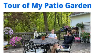 TOUR OF MY PATIO GARDEN for the Summer
