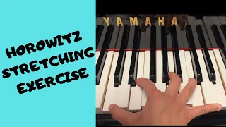 HOROWITZ STRETCHING EXERCISE // Pianist Stretching Exercises To Increase Hand Span + Finger Strength