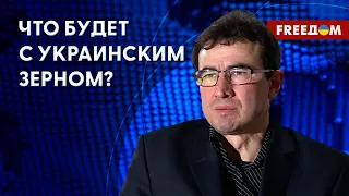 💥 Удары РФ по дунайским ПОРТАМ. Перспективы продления ЗЕРНОВОЙ сделки. Мнение Ижака