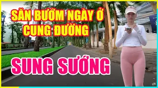 SĂN BƯỚM NGÀY - VIDEO VLOG, KHÔNG CHÊ BAY HAY CHỦ TRƯƠNG PHÁ CÔNG VIỆC CỦA AI