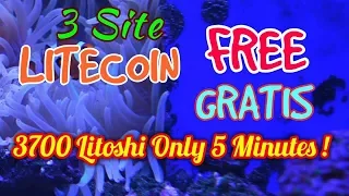 Litecoin FREE Gratis ! 3700 Litoshi dalam 5 Menit Di 3 Situs Penghasil Litecoin ini
