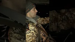 Волки напали на стадо, Магомед пришёл на помощь!