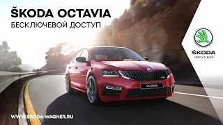 ŠKODA OCTAVIA. Бесключевой доступ.