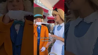 Alice and the Mad Hatter are so fun to talk to! #aliceinwonderland #alice #madhatter #disney #shorts
