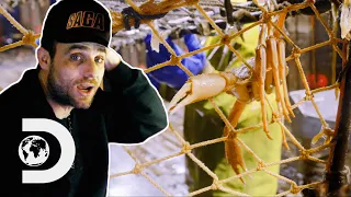 Greenhorn’s Fatal Error Threaten Jake’s Chances To See Birth Of New Baby | Deadliest Catch