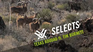 Texas Aoudad Rifle Hunt ft. Tim Burnett - SOLO HNTR | Vortex Selects