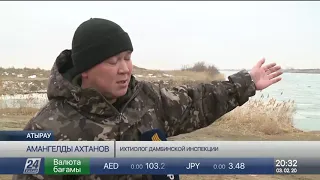 Инспекторы взяли водоемы Атырау под особый контроль