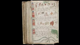 Voynich manuscript. All pages scanned (undeciphered language)