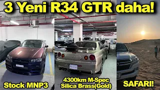 3 Tane Efsane R34 GTR | Land Cruiser ile Çölde Safari! | Japonic