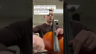 Inside a professional orchestra…help 😵‍💫