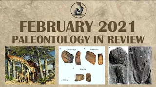 New Fossils and Paleontology- February 2021