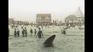 In Search Of History - Shark Attacks of 1916 (History Channel Documentary)