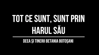 Tot ce sunt, sunt prin harul Său