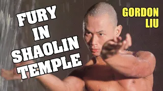 Wu Tang Collection - Fury in Shaolin Temple (ESPAÑOL Subtitulado)