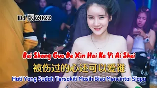 DJ版 2022 - 被伤过的心还可以爱谁 - Bei Shang Guo De Xin Hai Ke Yi Ai Shei - Remix #dj抖音版