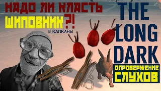 THE LONG DARK✦ОПРОВЕРЖЕНИЕ СЛУХОВ✦НАДО ЛИ КЛАСТЬ ШИПОВНИК В КАПКАНЫ ?!